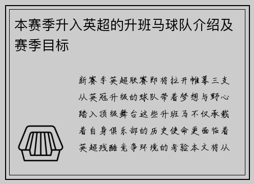 本赛季升入英超的升班马球队介绍及赛季目标