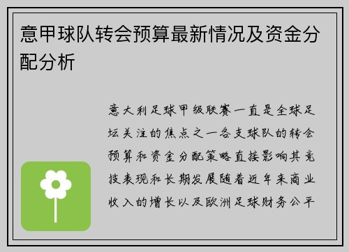 意甲球队转会预算最新情况及资金分配分析
